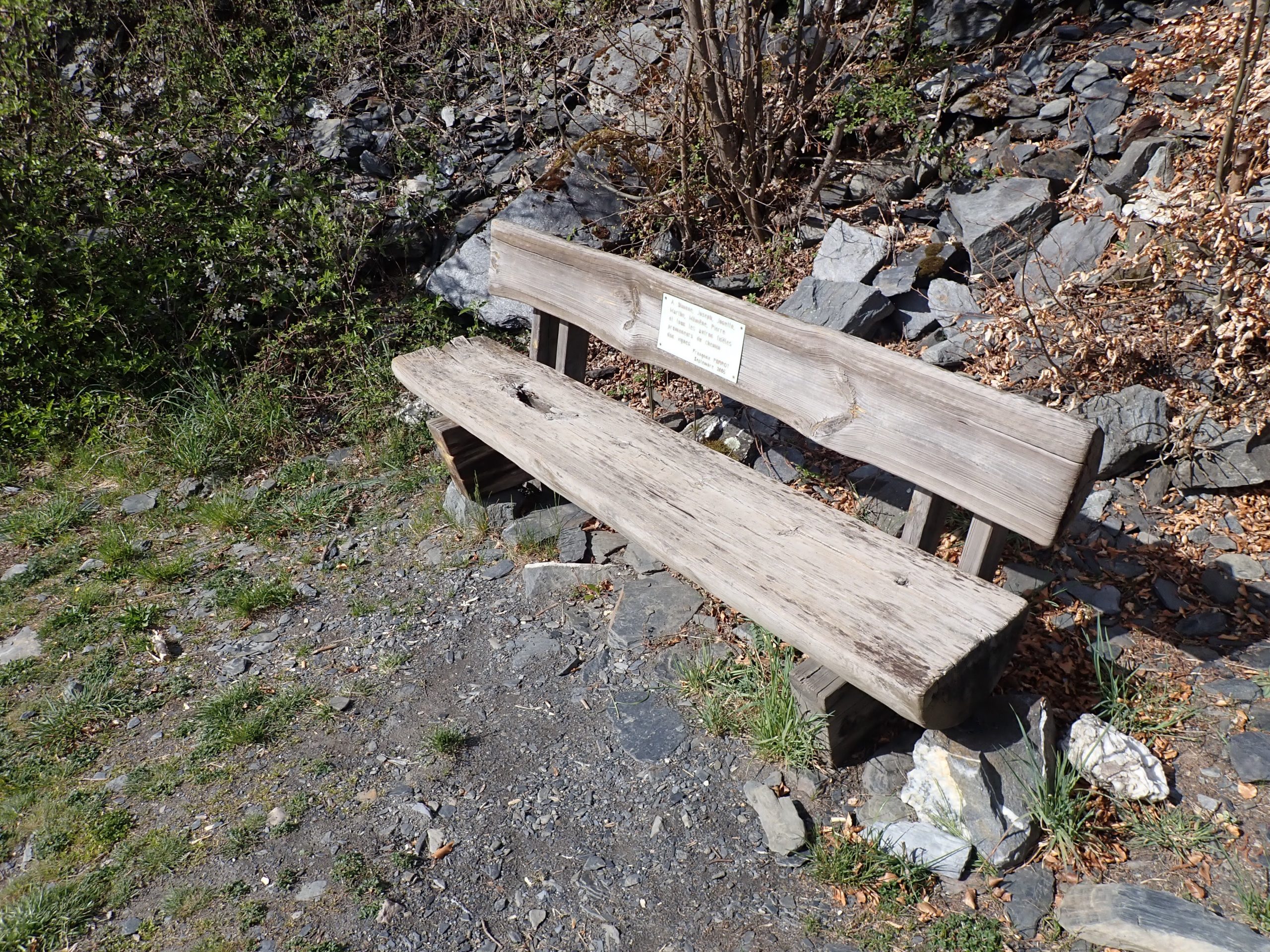 Petites pauses au soleil