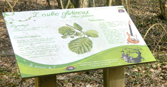 Aménagement d’un sentier ludo pédagogique