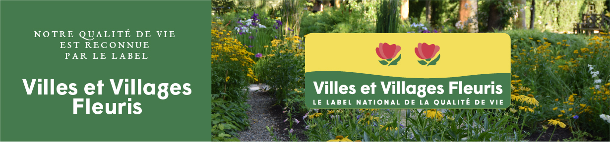 TYPE 4 - BANNIÈRE WEB